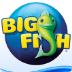 Big Fish Games