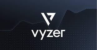 Vyzer